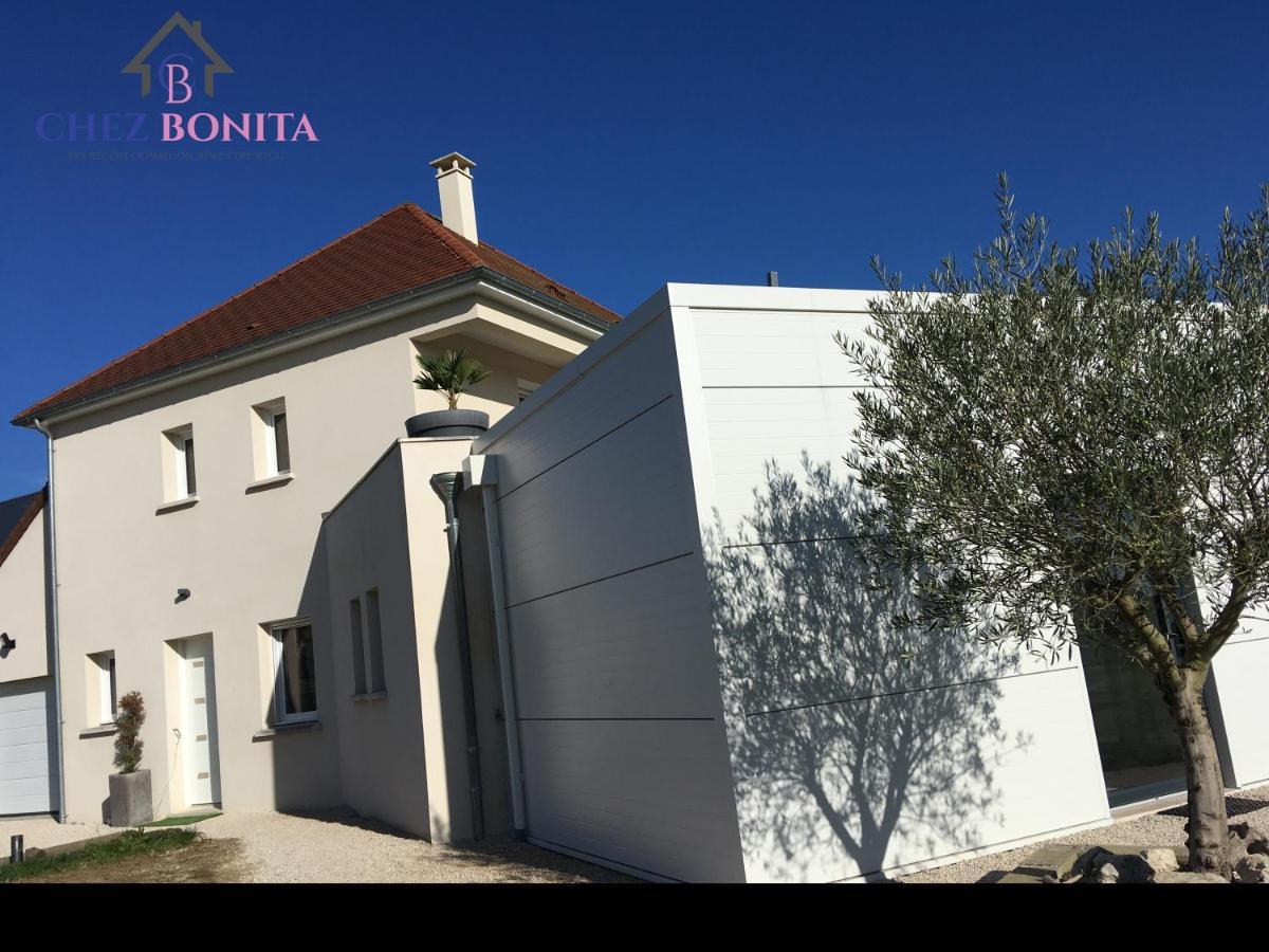Hotel Chez Bonita Chouzy-sur-Cisse Exterior foto